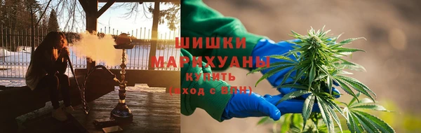 тгк Няндома