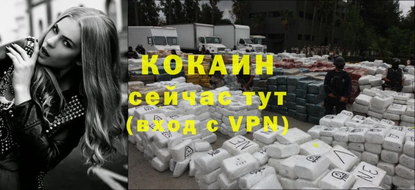 мяу мяу мука Новозыбков