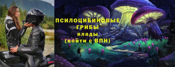 молекула духа Нязепетровск