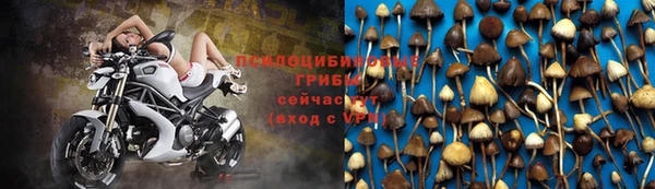 марки lsd Новодвинск