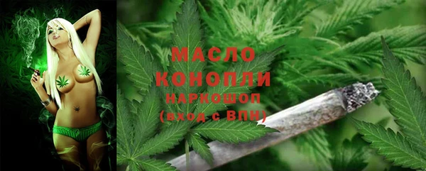 тгк Няндома