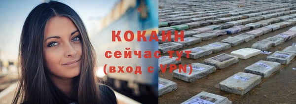 молекула духа Нязепетровск