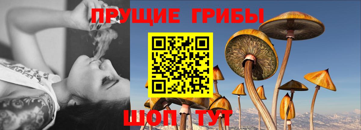 Лабинск  Галлюциногенные грибы ЛСД  Галлюциногенные грибы Magic Shrooms  Вход с VPN 